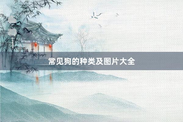 常见狗的种类及图片大全