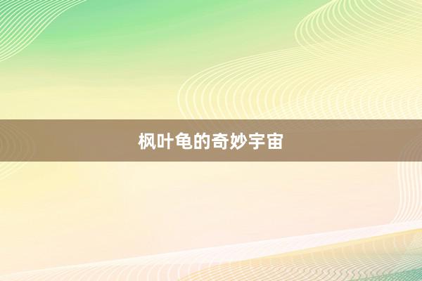 枫叶龟的奇妙宇宙